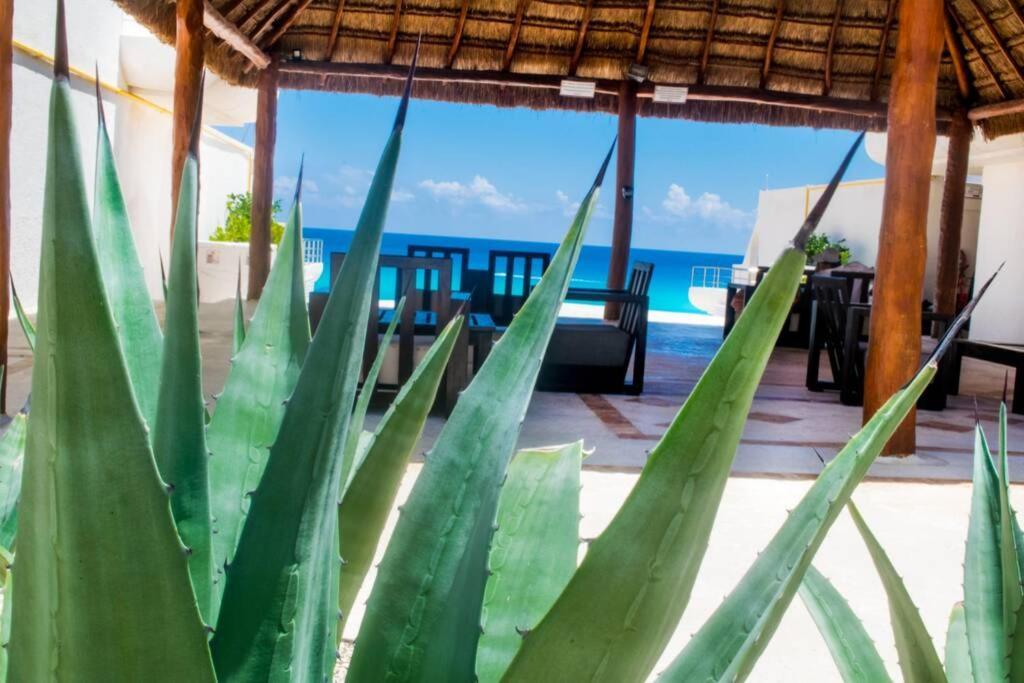 Villas Marlin 108, A Pie De Playa, Albercas, Jacuzi, Ubicacion Inmejorable Канкун Экстерьер фото