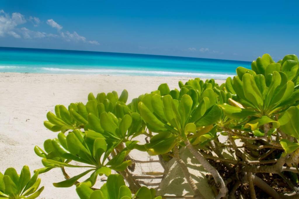 Villas Marlin 108, A Pie De Playa, Albercas, Jacuzi, Ubicacion Inmejorable Канкун Экстерьер фото